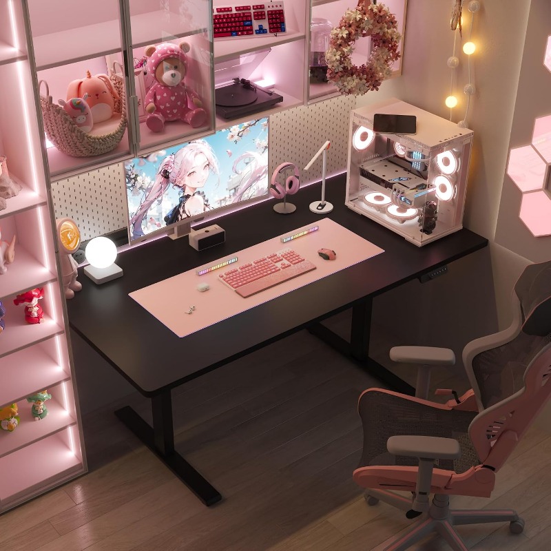 Biurko elektryczne FLEXISPOT,  – Desk Setup Dual Monitor recenzja i cena